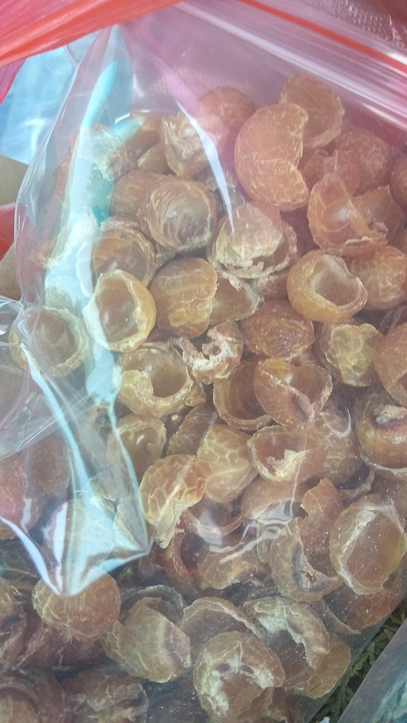 中药材无患子果皮，洗手果皮，圆皂角果皮。