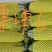 莘县博洋甜瓜博洋61大量成熟上市整车代收代发电商欢迎电联