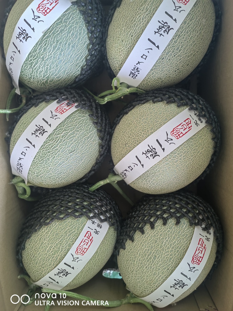 西州蜜！小蜜！网纹瓜！产地直发！规格品质可选！