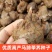 马蹄马蹄种