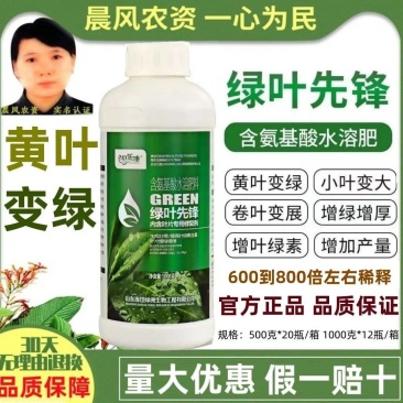 绿叶先锋黄叶变绿增绿增厚预防小叶黄叶卷叶花叶含氨基酸水溶