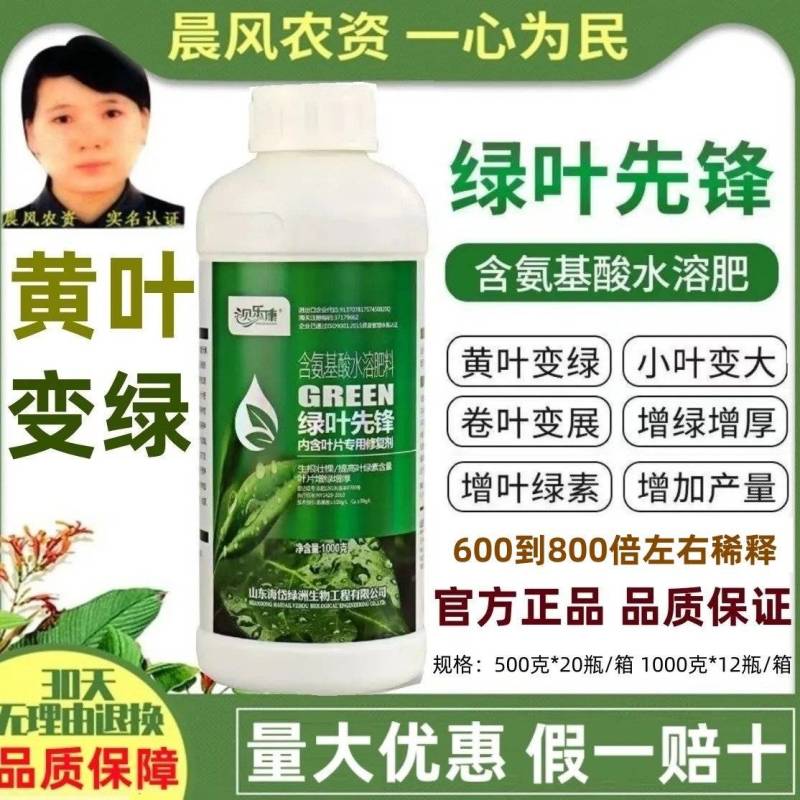 绿叶先锋黄叶变绿增绿增厚预防小叶黄叶卷叶花叶含氨基酸水溶