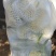 精品菜花