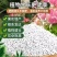 山东省聊城供应15-15-15复合肥农作物增产好帮手