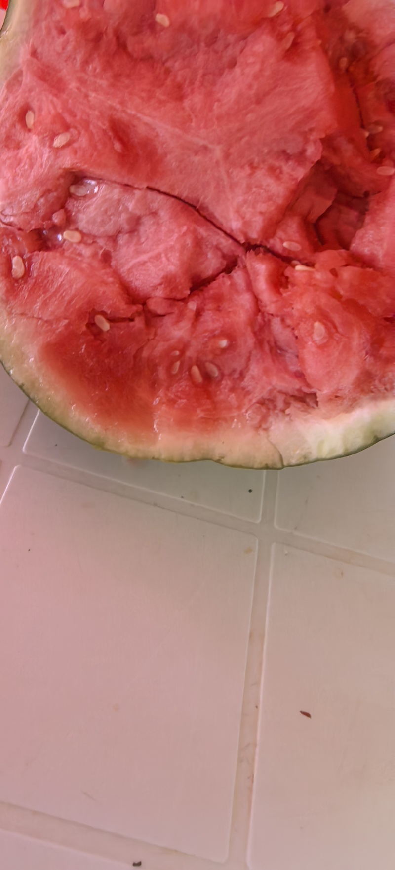 美都西瓜