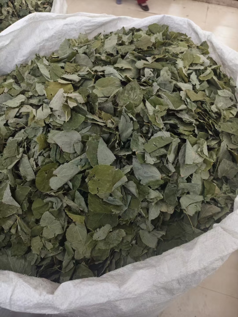 甘肃正宗淫羊藿卖相好常年有货各种规格现场看货品质保证