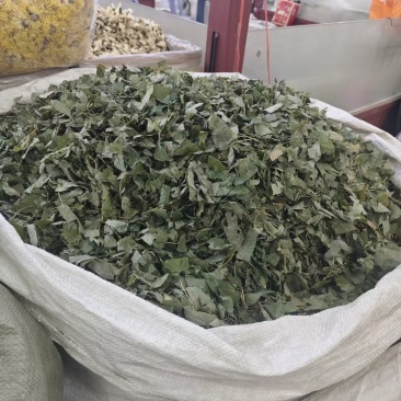 甘肃正宗淫羊藿卖相好常年有货各种规格现场看货品质保证