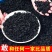 全干鲜嫩免洗裙带菜特级干货煲汤海藻海带煮汤海白菜