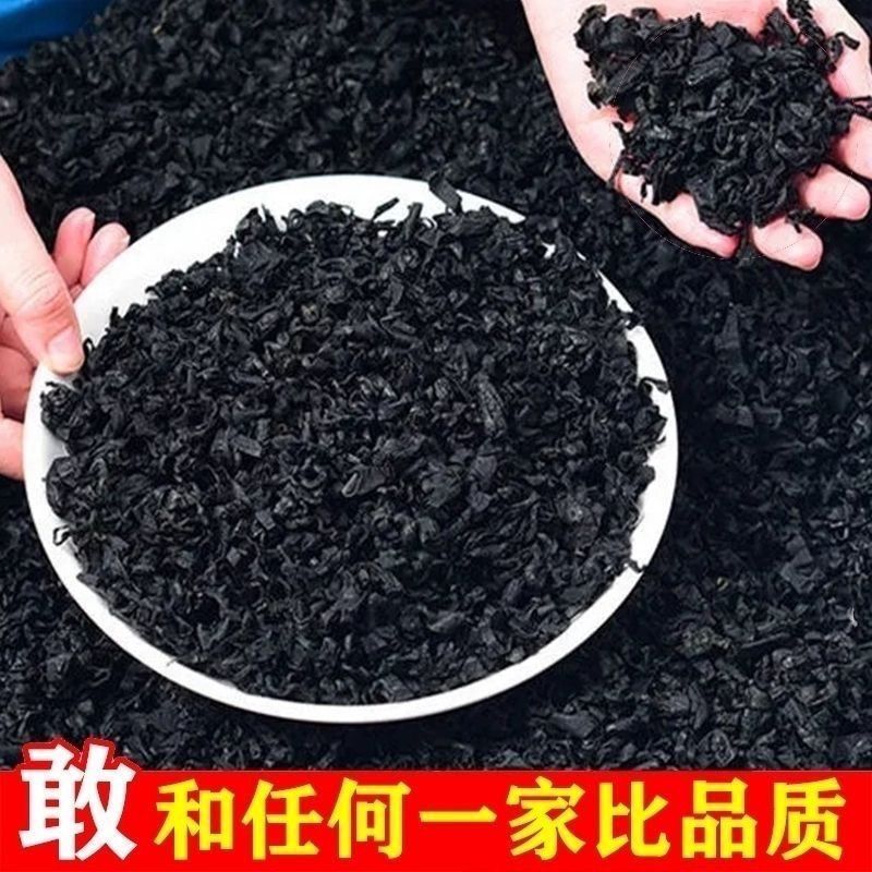 全干鲜嫩免洗裙带菜特级干货煲汤海藻海带煮汤海白菜