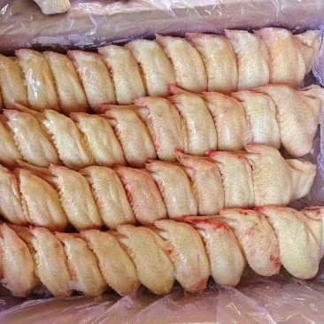 排翅80-100100-120