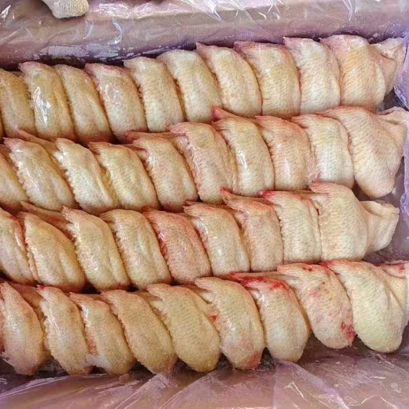 排翅80-100100-120