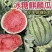 【推荐】麒麟西瓜大量供应产地直发量大从优欢迎来电