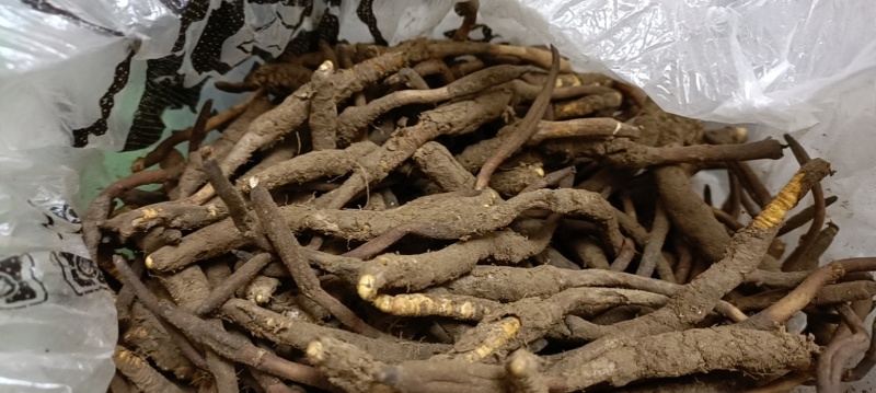 冬虫夏草，贝品质保证诚信经营量大从优