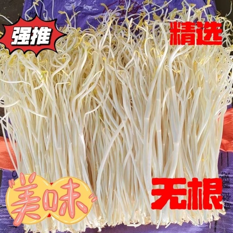 白芹