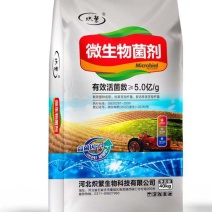 炽繁颗粒微生物菌剂5亿活菌果树专用瓜果蔬菜药材