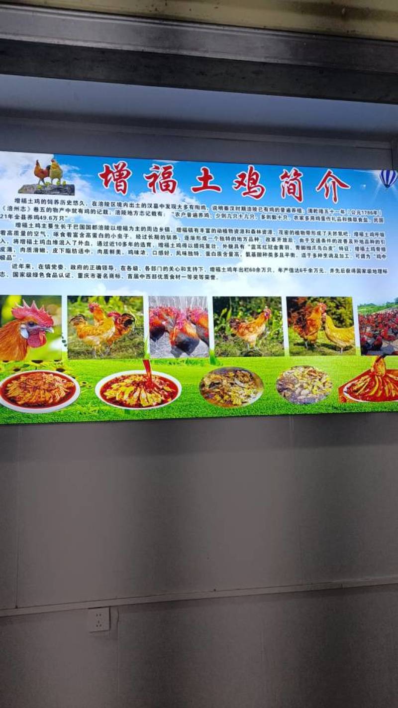 重庆生态熟食鸡，天然放养，肉质鲜嫩，健康美味，舌尖上的享