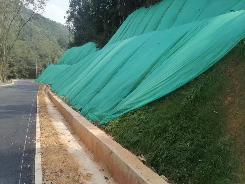 护坡王量大优惠全国发货发芽快覆绿效果好防泥土流失扎根性好