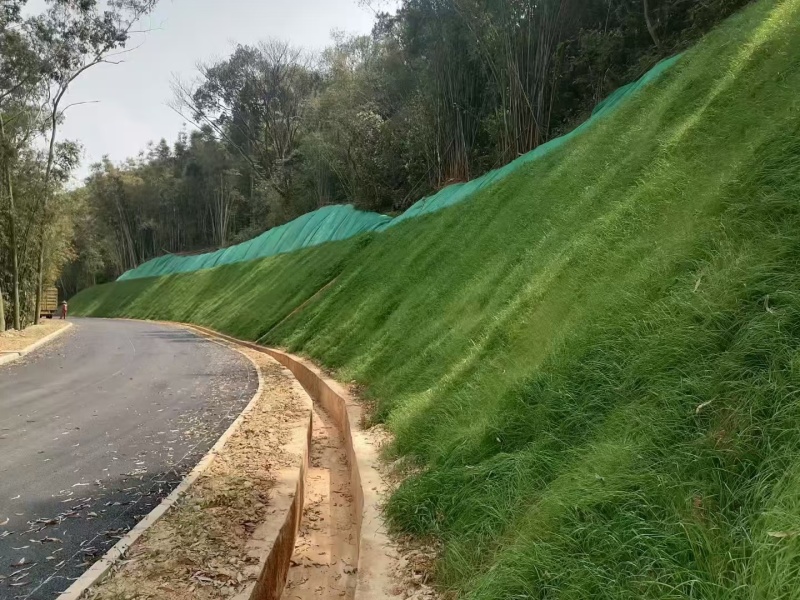护坡王量大优惠全国发货发芽快覆绿效果好防泥土流失扎根性好