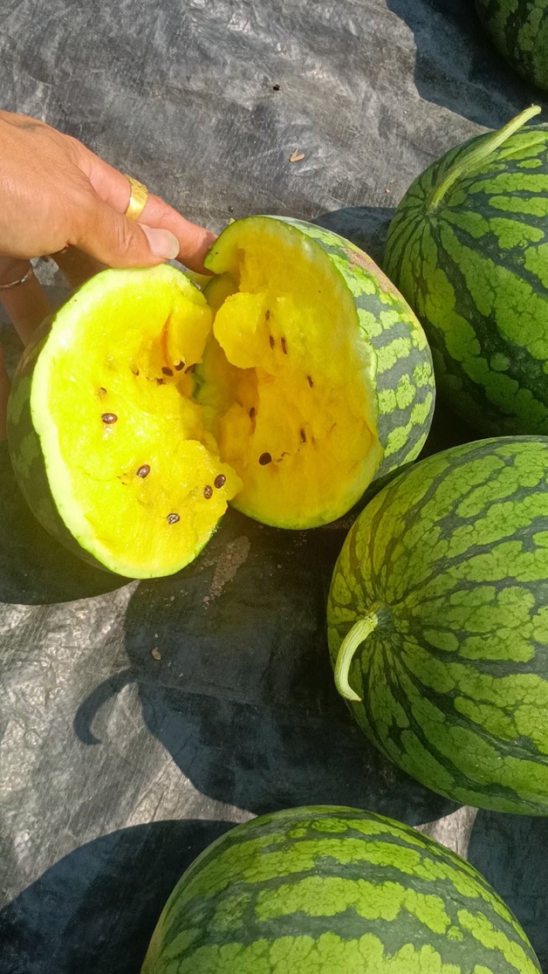 特小凤西瓜，9成熟头茬，基地直发，口感香甜全冠发货
