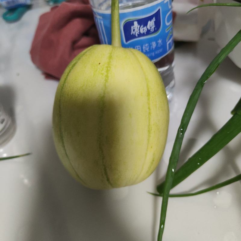 精密