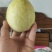 精密