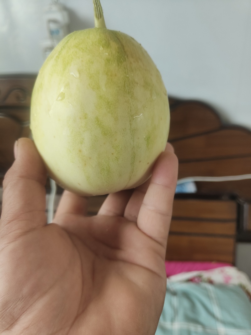 精密