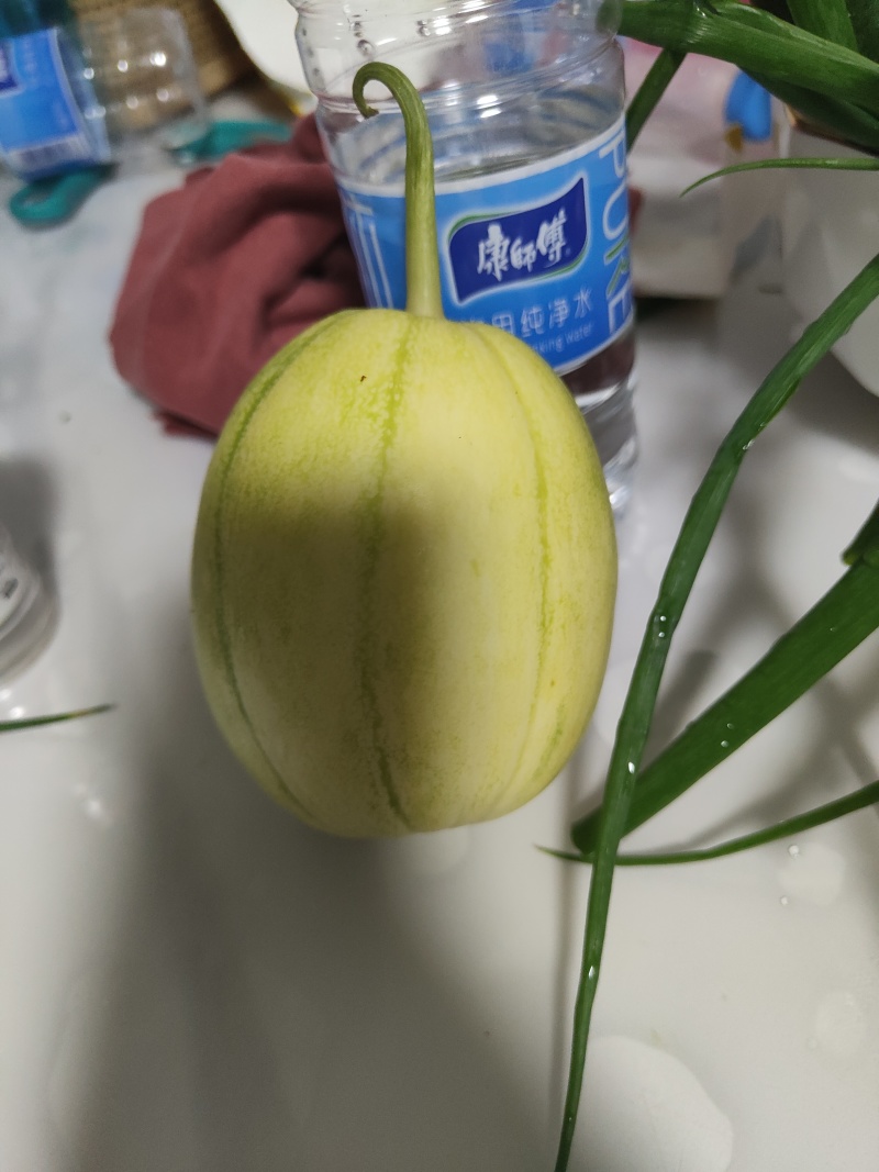 精密