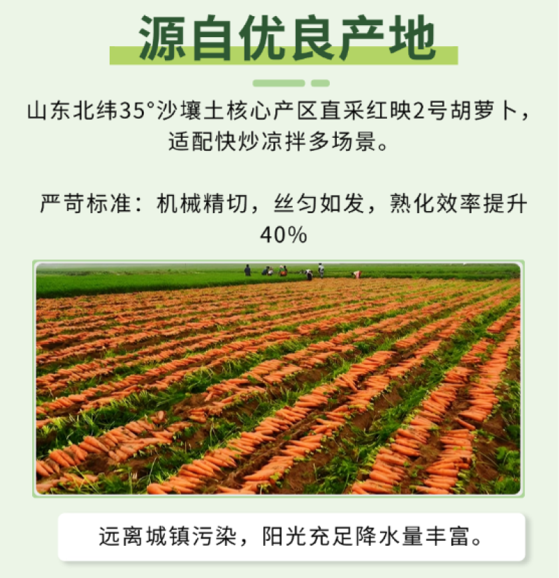 全仕祥净菜胡萝卜丁胡萝卜丝胡萝卜片胡萝卜沫批发