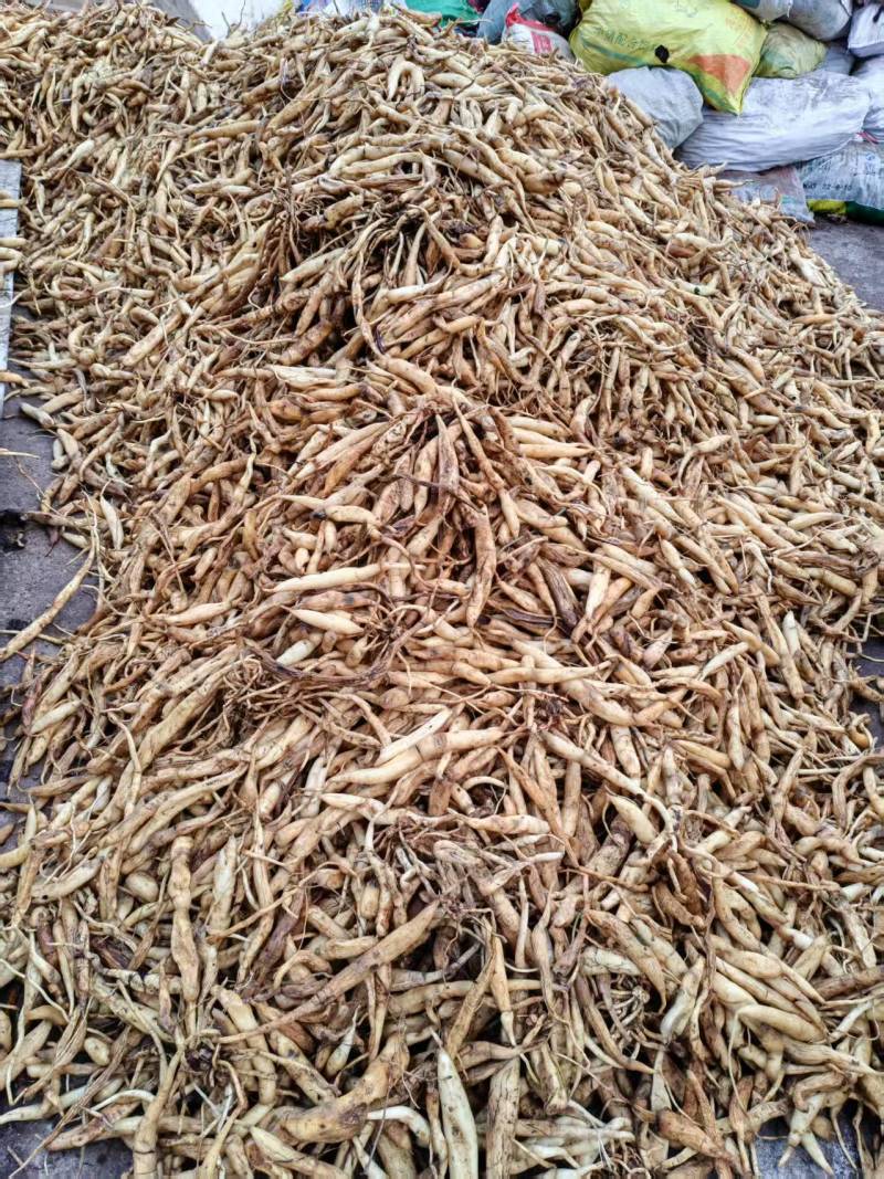 精品百部源头产地全国可发一手货源价格美丽欢迎电话联系