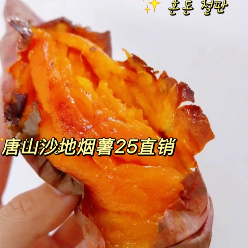 唐山纯沙地双膜烟薯25接受预定