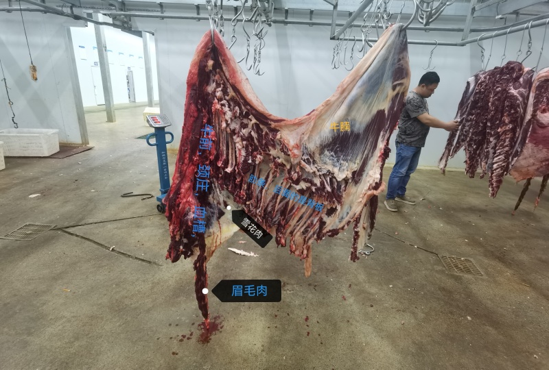占皮（牛腩），正宗谷饲，每晚现杀，屠场直供，冷链运输
