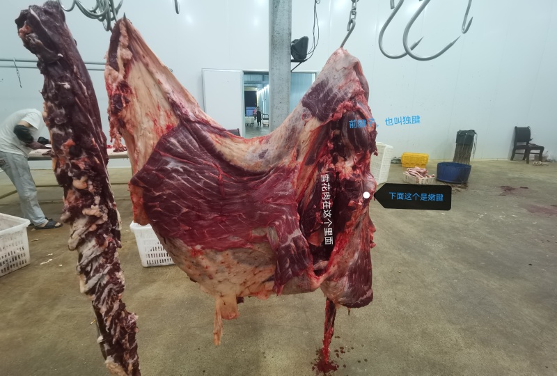 占皮（牛腩），正宗谷饲，每晚现杀，屠场直供，冷链运输