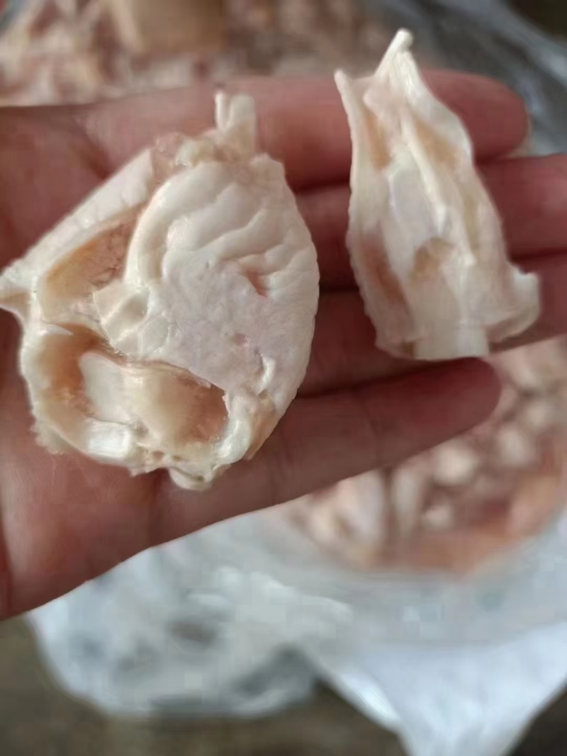 鸡脚筋，爪筋皮，有环切的和直切的，厂家直发