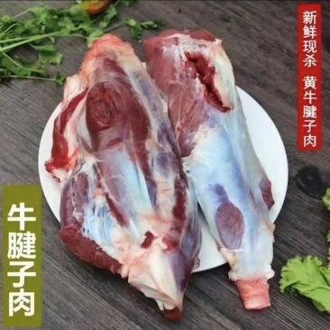 腱子（大腱子，小腱子）不包含独腱，嫩尖