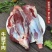 腱子（大腱子，小腱子）不包含独腱，嫩尖