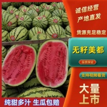 河南夏邑/美都西瓜/麒麟西瓜大量上货现摘现发欢迎来电