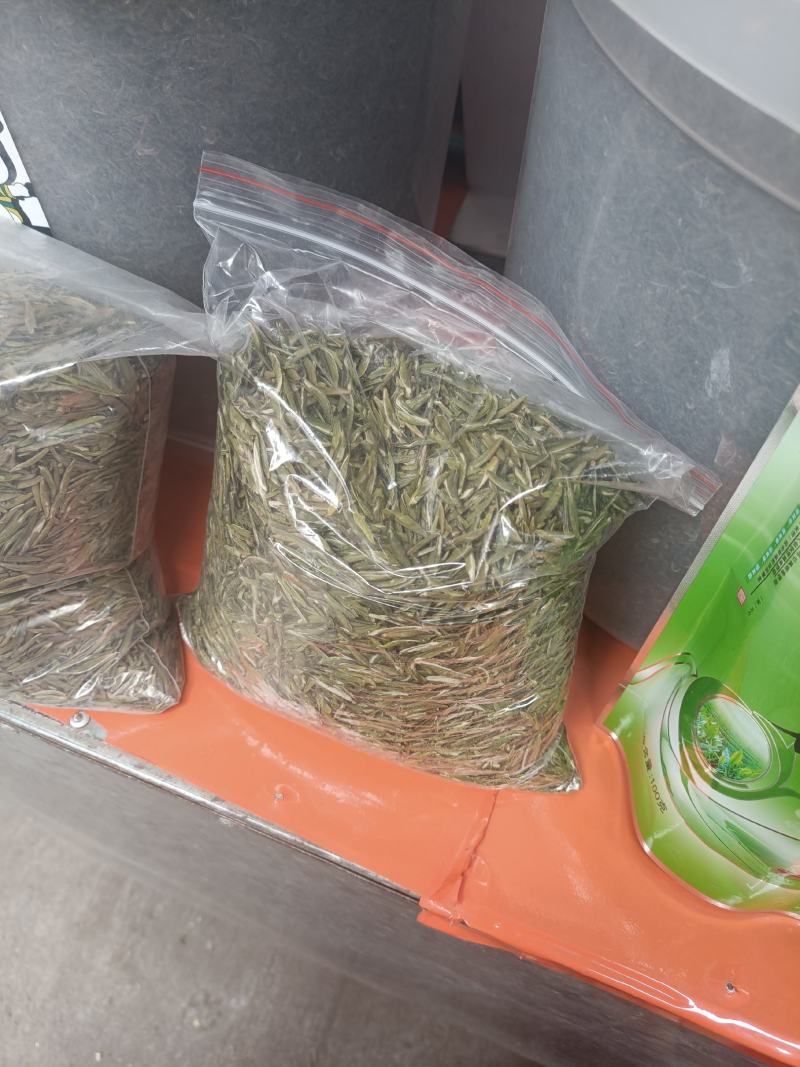 荞坝贡茶