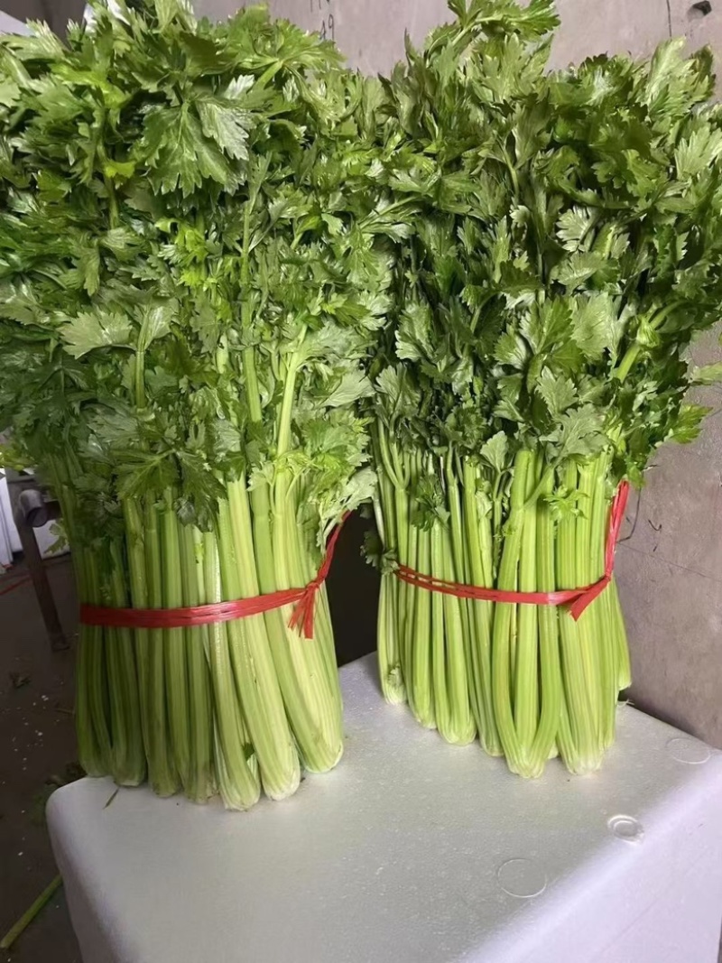 精品西芹