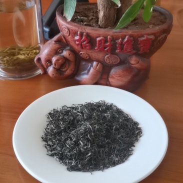 高山绿茶