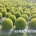 25袋亮晶球规格40-50规格，数量有4000个左右