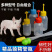 猪用一次性输精管深部深度输精瓶母猪种猪精液兽用人工配