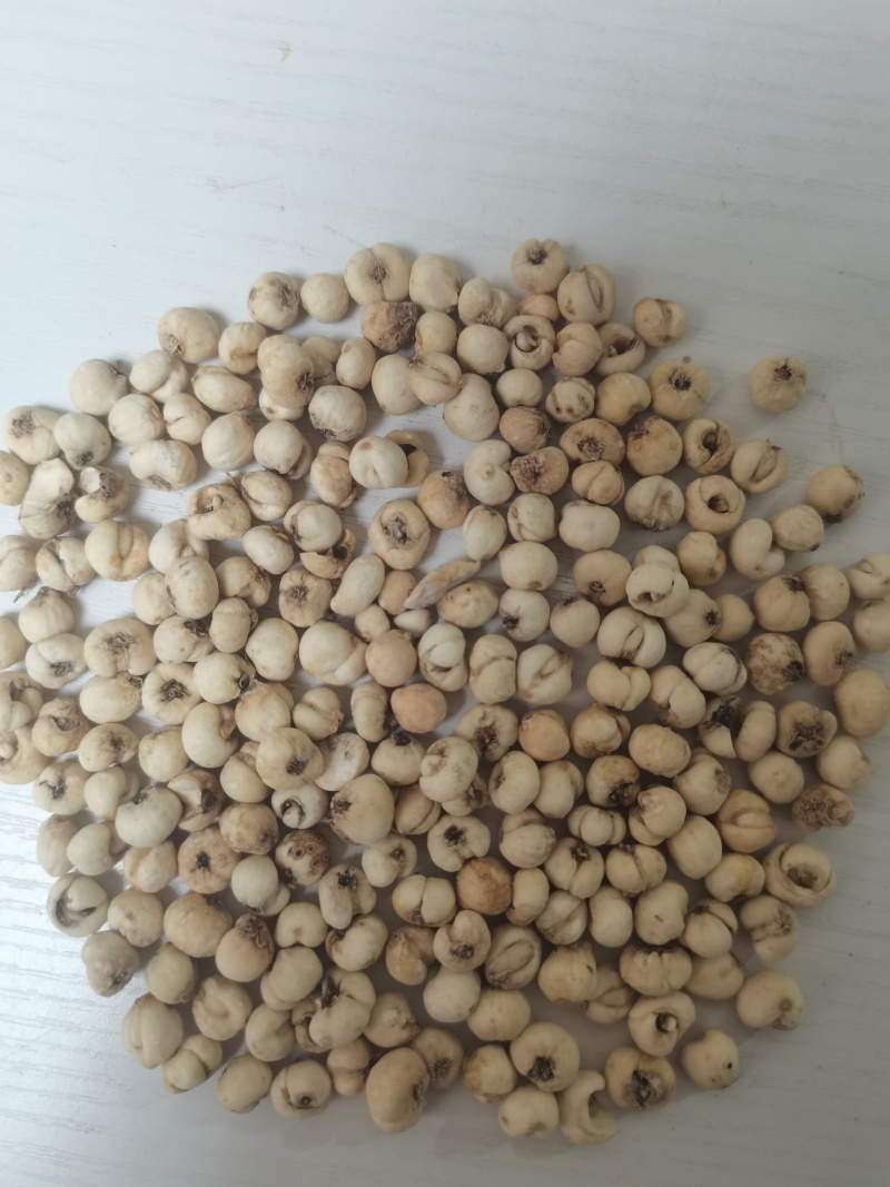 中药材无硫小平贝贝母平贝母包邮
