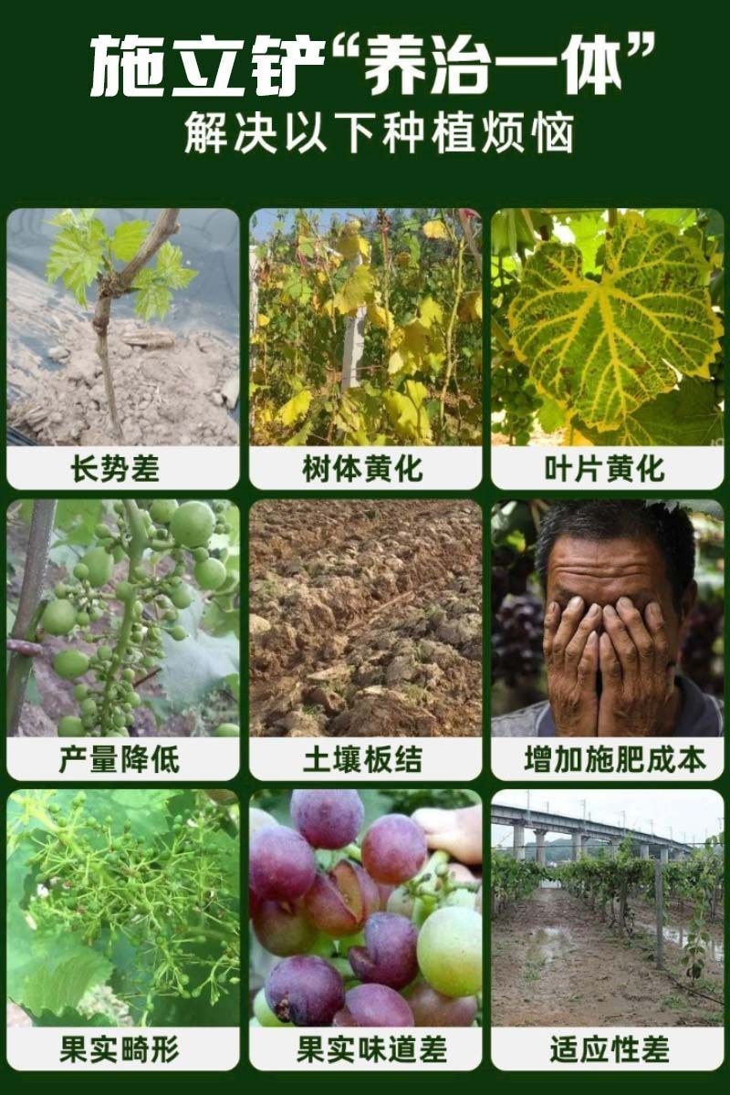 黄腐酸钾型10亿菌剂，生根养根疏松土壤添加氮磷钾有机认证