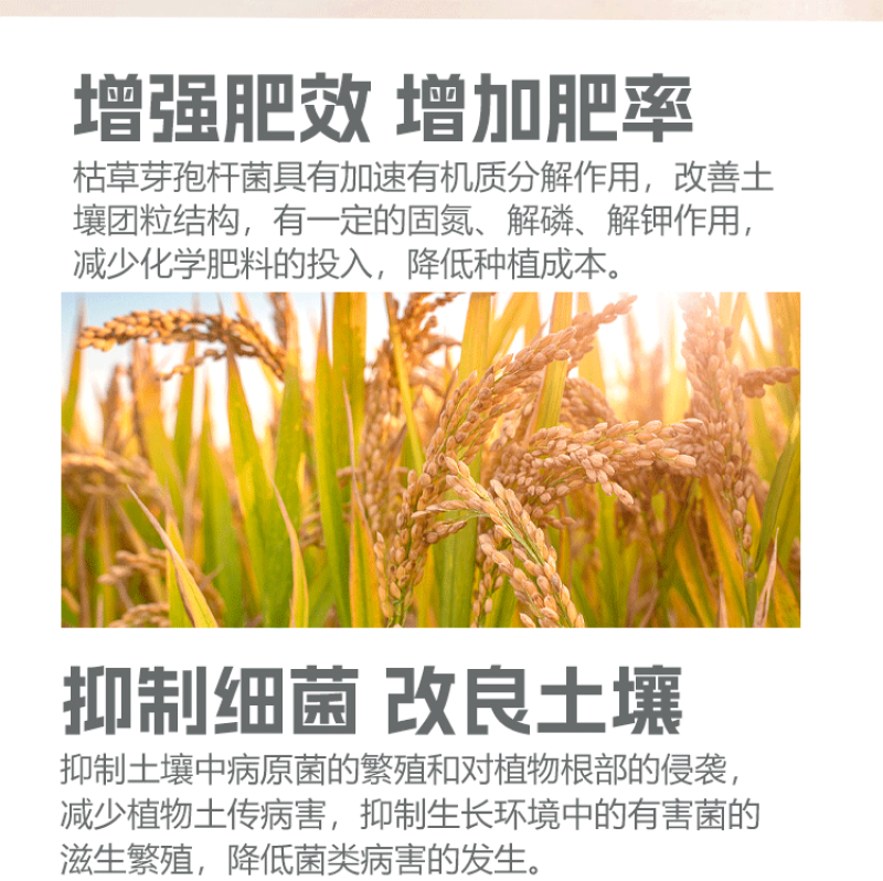 黄腐酸钾型10亿菌剂，生根养根疏松土壤添加氮磷钾有机认证