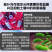 黄腐酸钾型10亿菌剂，生根养根疏松土壤添加氮磷钾有机认证