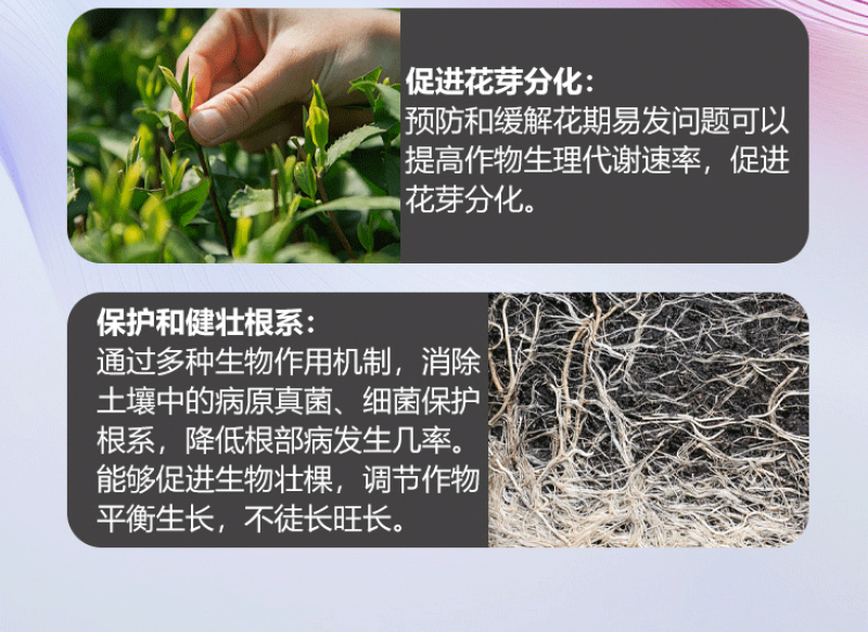黄腐酸钾型10亿菌剂，生根养根疏松土壤添加氮磷钾有机认证