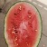 襄城县崔结实代收果，精品大棚甜王正在上市中。
