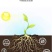 黄腐酸钾微生物菌剂10亿活菌生根快抗病毒，抗重茬厂家直销