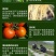 黄腐酸钾微生物菌剂10亿活菌生根快抗病毒，抗重茬厂家直销