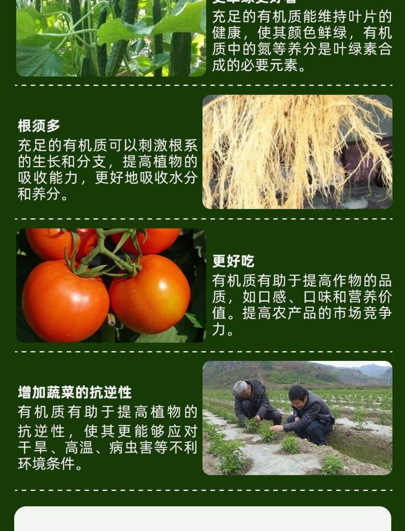 黄腐酸钾微生物菌剂10亿活菌生根快抗病毒，抗重茬厂家直销